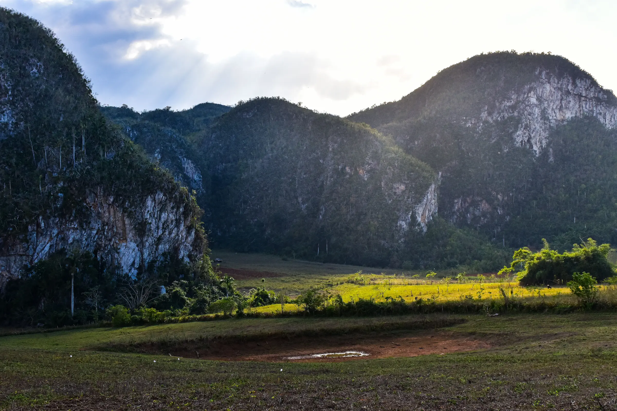 Green Viñales Valley with limestone hills and farm fields, a scenic stop when getting around Cuba