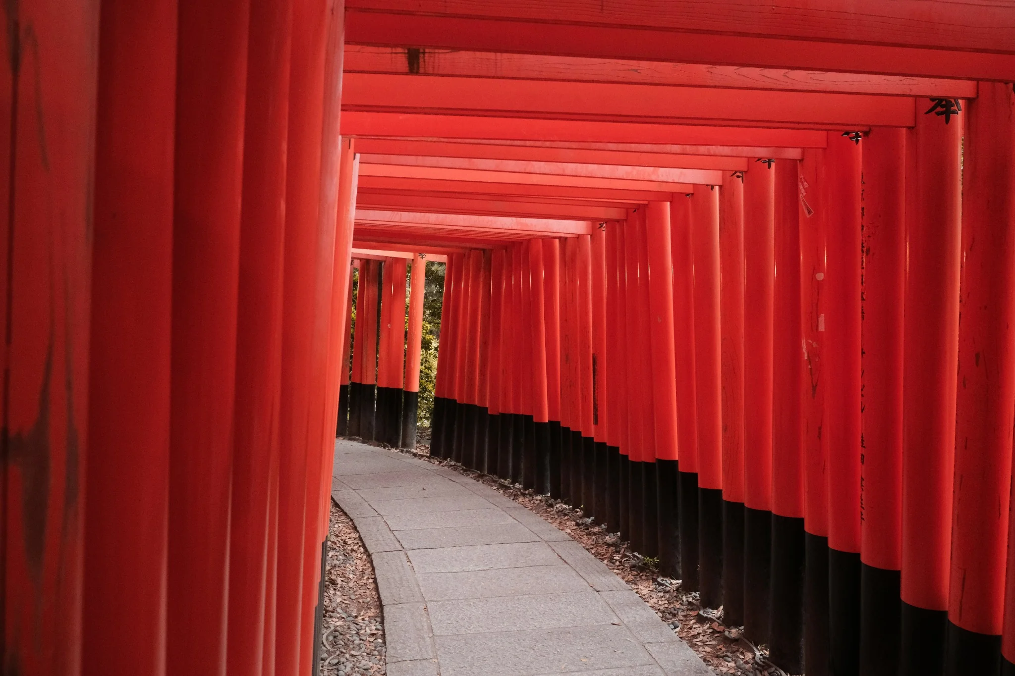 Japan 10 day itinerary traditional orange Torii gates path at Fushimi Inari in Kyoto