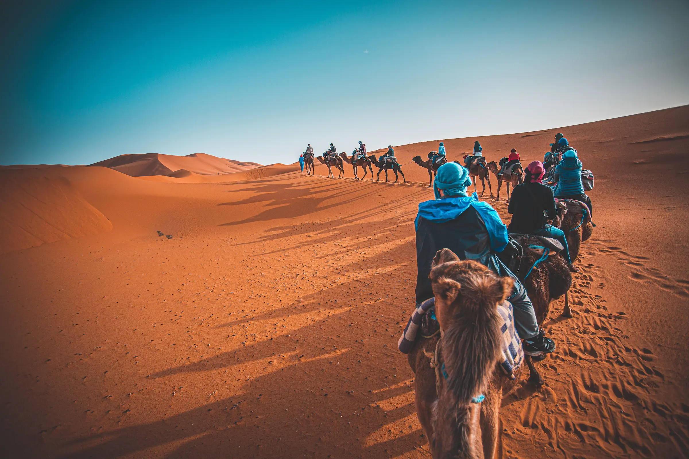 A camel trek in Morocco crossing the sand dunes near Merzouga at sunset