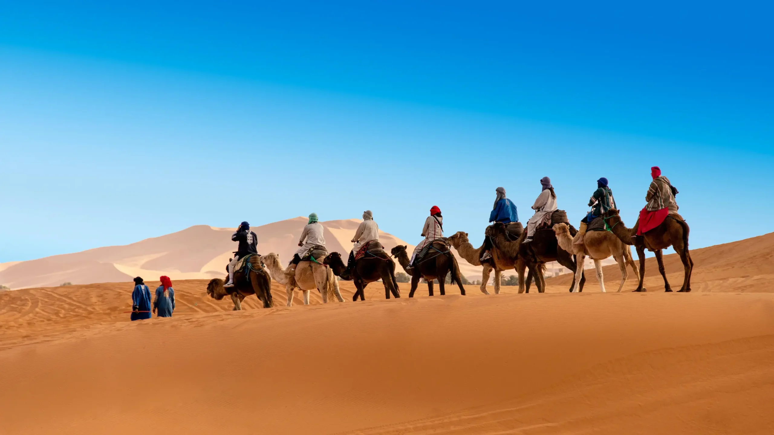 Camel trek in the Merzouga desert, the biggest activity in a Morocco trip cost